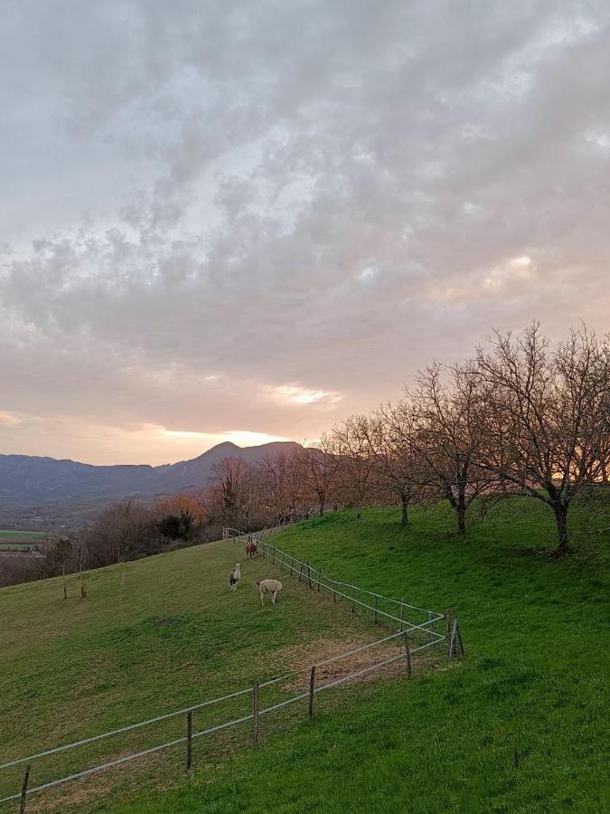 Le Perchoir Du Vercors - Panorama Sur Les Cimes Saint-Andre-en-Royans Exterior foto